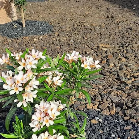 別荘 Casagrande Sunset Ii - Fuerteventura - Costa Calma